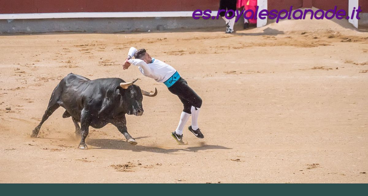 es.royalesplanade.it